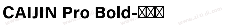 CAIJIN Pro Bold字体转换